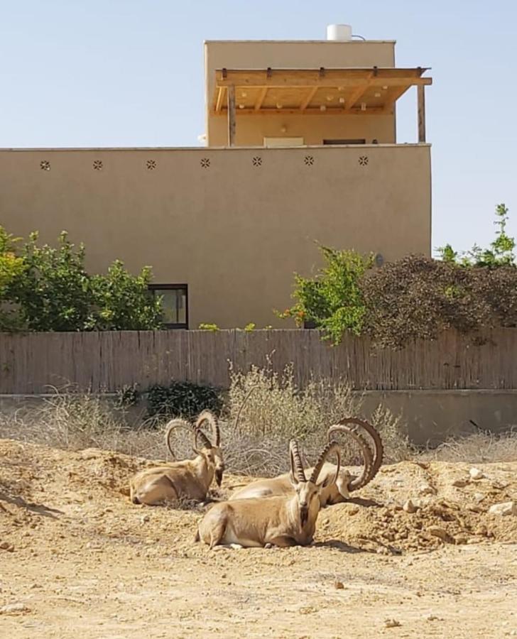 צמח בר Daire Midreshet Ben Gurion Dış mekan fotoğraf